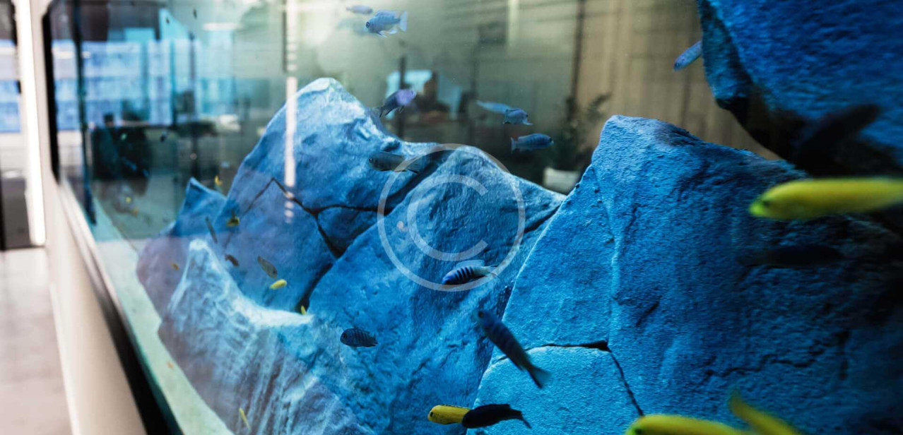 Knowledge Activation